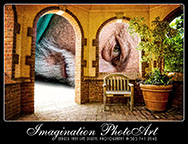 Imagination PhotoArt Logo